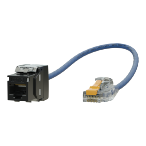 Kordz  - PRO SlimCat CAT6 - Image 3