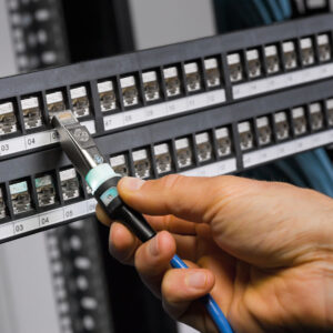 Trend Networks - LanTEK IV-L 500MHz - Image 3