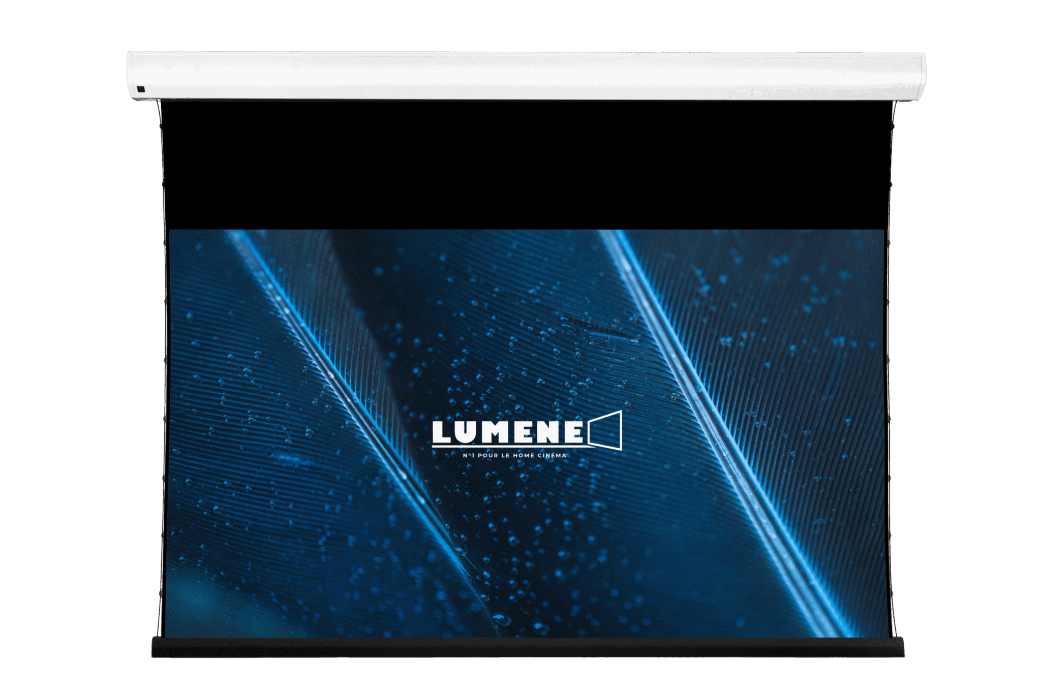 Lumene – Coliseum Extra Bright LT (Long Throw) Motorised Screen – Avoke